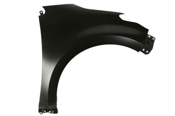 BLIC 6504-04-8158312P Kotflügel