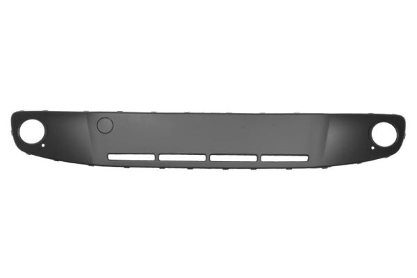 BLIC 6509-01-9516999P Zier-/Schutzleiste, Stoßfänger