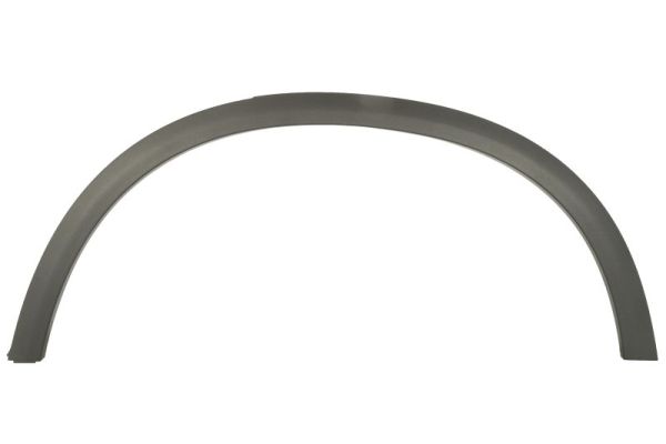 BLIC 6601-02-3531423P Zier-/Schutzleiste, Kotflügel