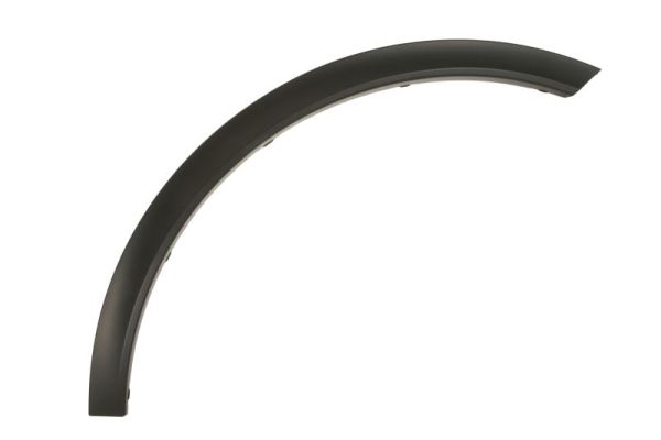 BLIC 6601-02-3536422P Zier-/Schutzleiste, Kotflügel