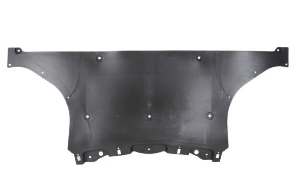 BLIC 6601-02-7800881P Unterfahrschutz