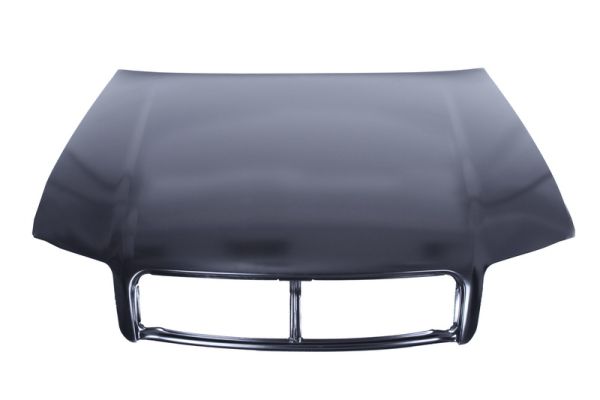 BLIC 6803-00-0019280Q капак...