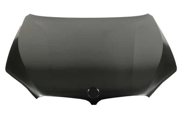 BLIC 6803-00-0096282AP Motorhaube