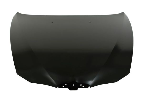 BLIC 6803-00-0109281P Motorhaube