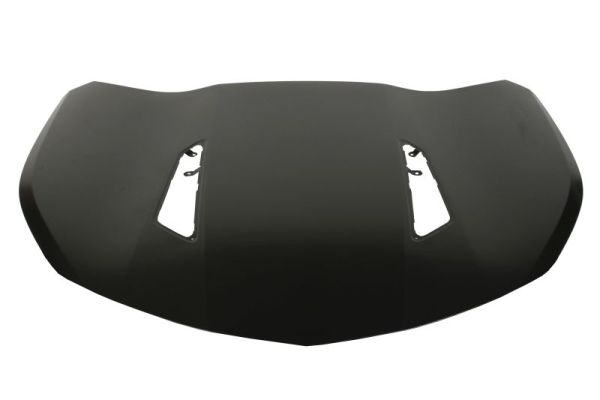 BLIC 6803-00-1196281P Motorhaube