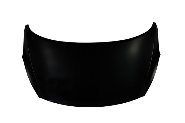 BLIC 6803-00-3136280P Motorhaube