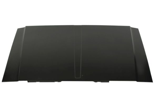 BLIC 6803-00-3203281P Motorhaube