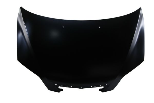 BLIC 6803-00-3419280P Motorhaube