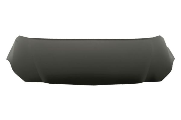 BLIC 6803-00-5025280P капак...