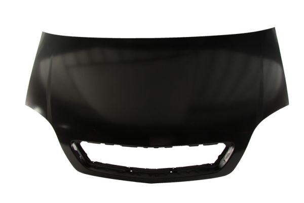 BLIC 6803-00-5026280P капак...