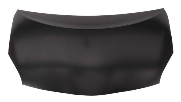 BLIC 6803-00-8199280P Motorhaube