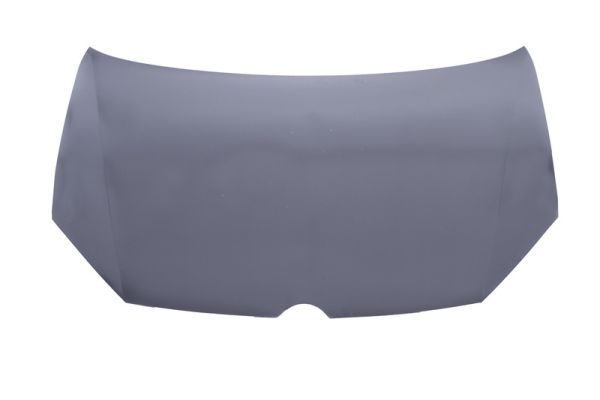 BLIC 6803-00-9534280Q капак...