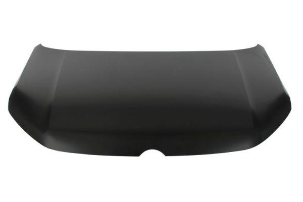 BLIC 6803-00-9576280P Motorhaube