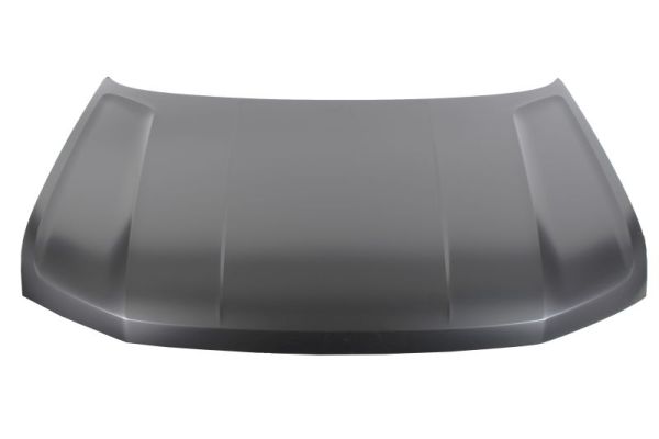 BLIC 6803-00-9583280P Motorhaube