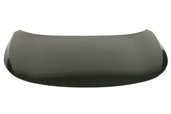BLIC 6803-00-9584280P Motorhaube
