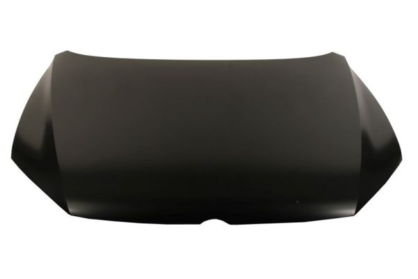 BLIC 6803-00-9587280P Motorhaube