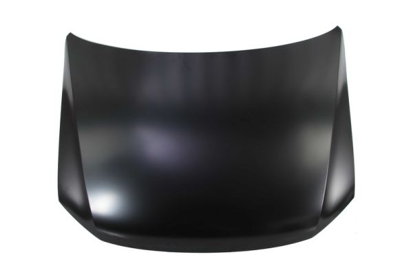 BLIC 6803-00-9595280P Motorhaube