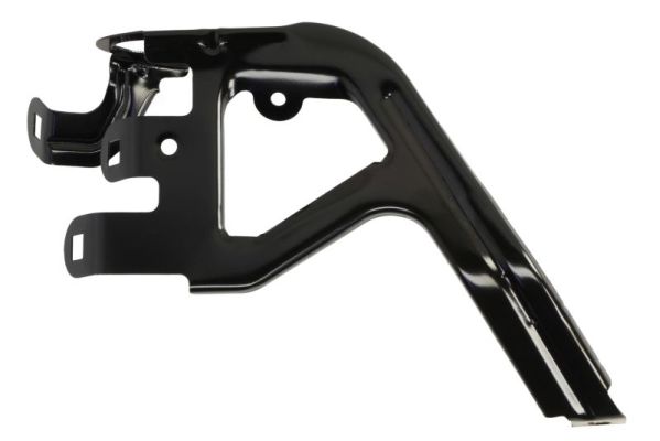 BLIC 7802-03-0058384P...