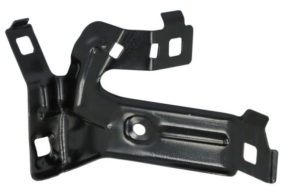 BLIC 7802-03-0063384P...