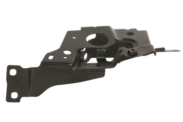 BLIC 7802-03-0064381P...