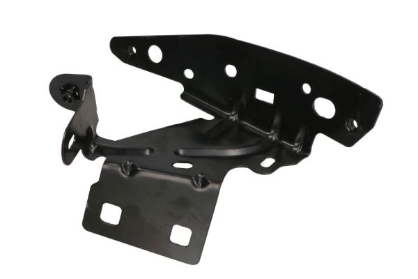 BLIC 7802-03-0531383P...