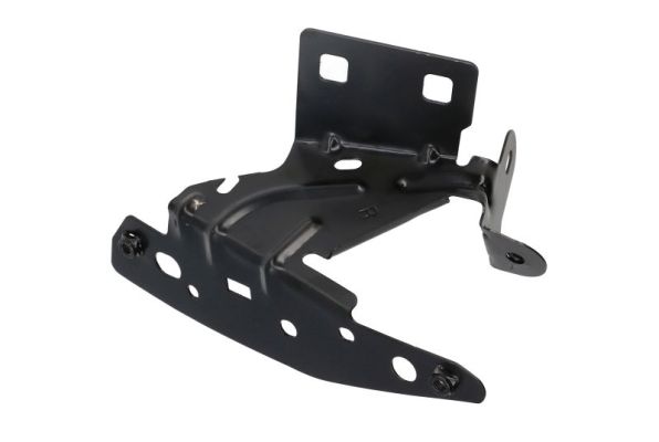 BLIC 7802-03-0531384P...