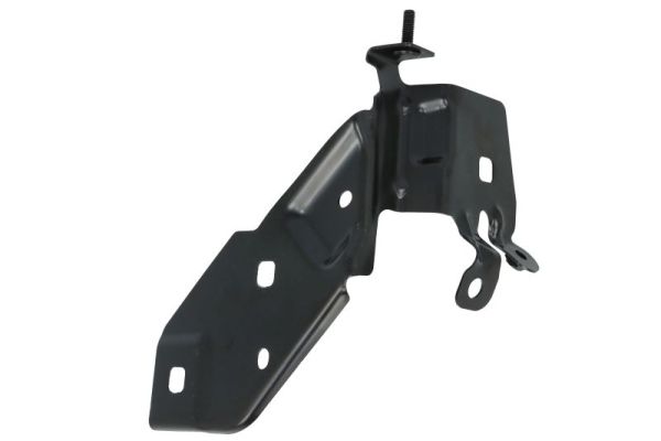 BLIC 7802-03-6034383P...