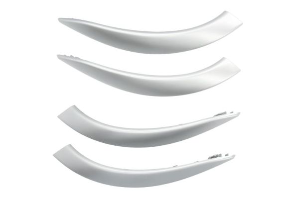 BLIC 8800-00-1950281PP Türgriff, Innenausstattung