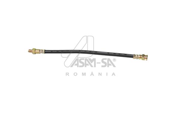 ASAM 01088 Furtun frana