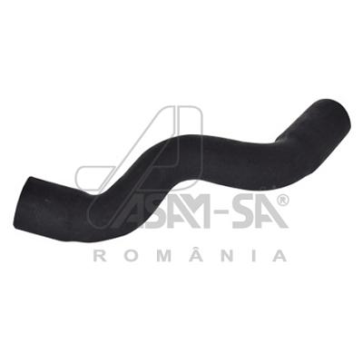 ASAM 01330 Furtun radiator