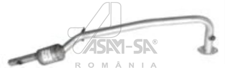 ASAM 01343 Catalizator