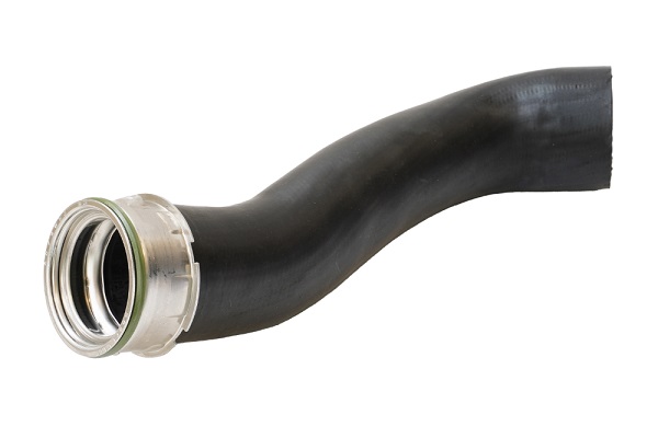 ASAM 100126 Furtun ear...