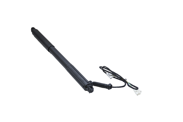 ASAM 100178 Amortizor...