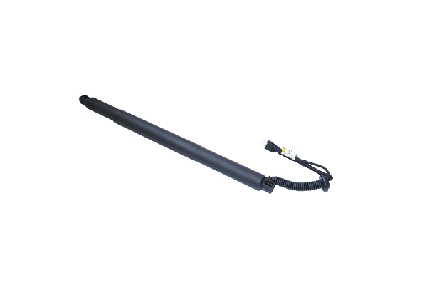 ASAM 100182 Amortizor...