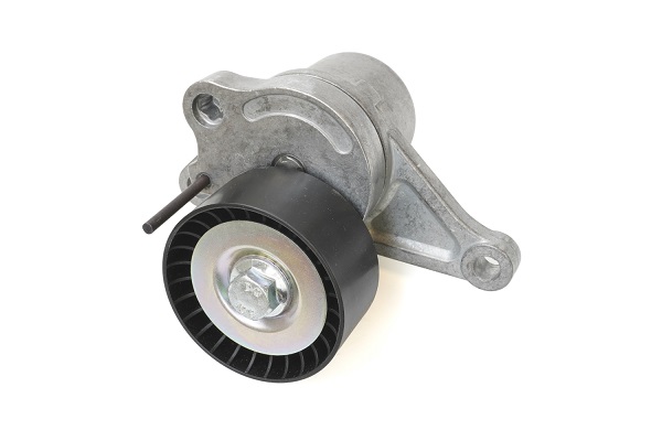 ASAM 101296 intinzator...
