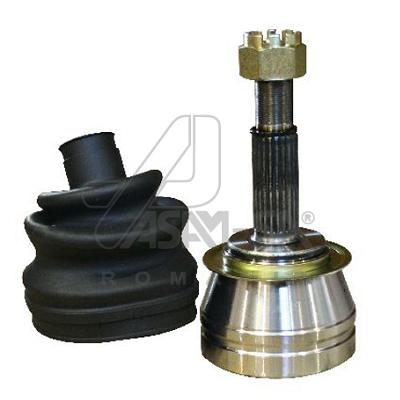 ASAM 30051 Set articulatie...