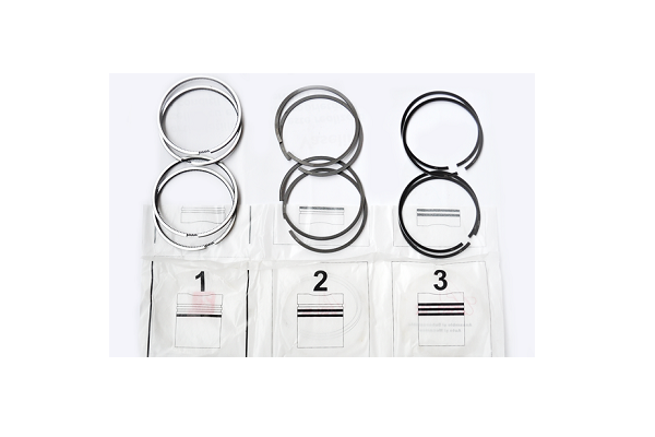 ASAM 30156 Set segmenti piston
