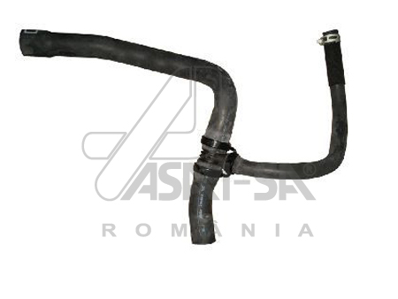 ASAM 30391 IESIRE Furtun...