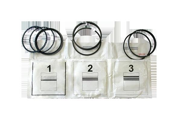 ASAM 30639 Set segmenti piston