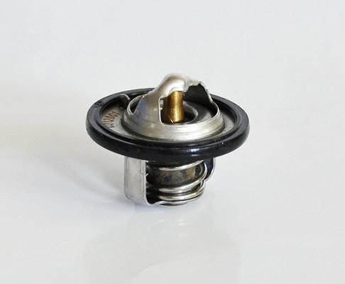 ASAM 30653 termostat,lichid...