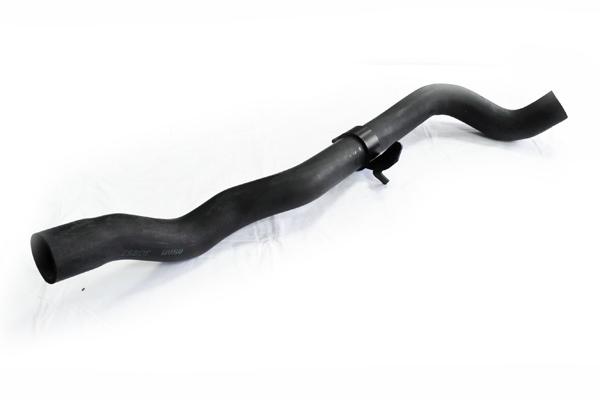 ASAM 30857 IESIRE Furtun...