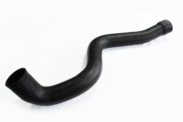 ASAM 30858 IESIRE Furtun...