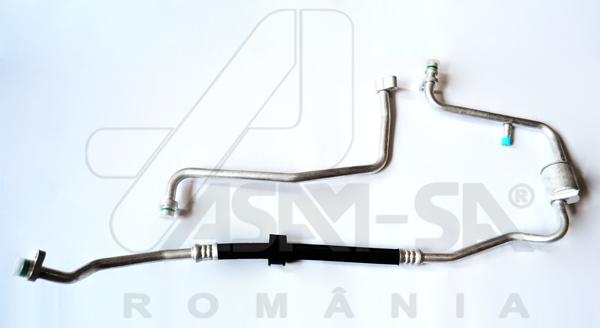 ASAM 30986 Conducta...