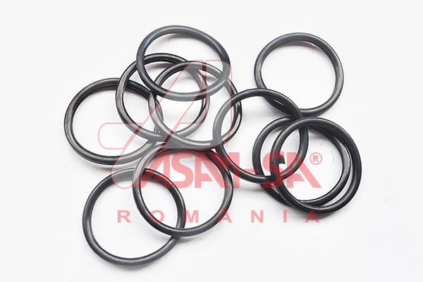 ASAM 32601 Garnitura termostat