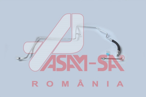 ASAM 32689...