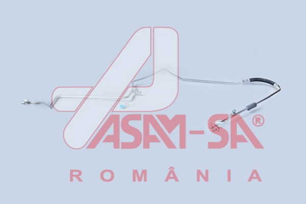 ASAM 32691...