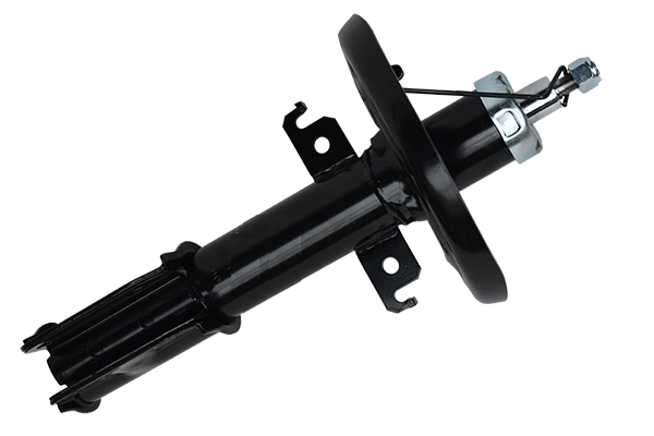 ASAM 33008 amortizor