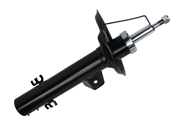 ASAM 33050 amortizor