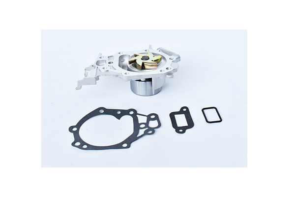 ASAM 33836 Pompa de apa...