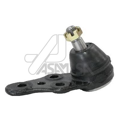 ASAM 50066 Articulatie...